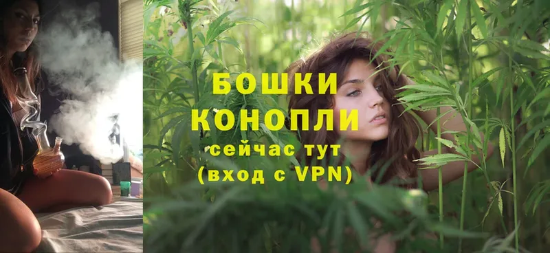 Конопля Ganja  что такое   Анива 